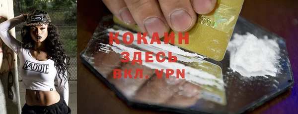 не бодяженный Алексин