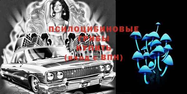 гашик Бикин