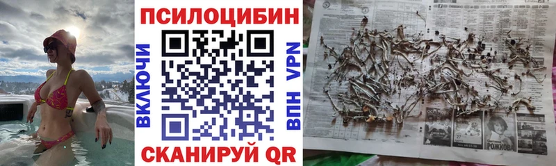 ОМГ ОМГ ссылка  Феодосия  Галлюциногенные грибы ЛСД 